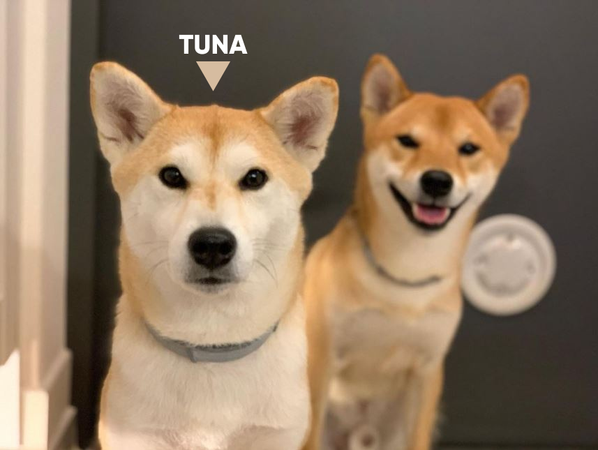Tuna wif's mom